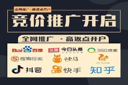 网络营销新篇章：竞价推广案例分析